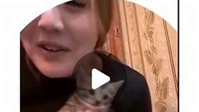Orange Monkeyo on Instagram: "Kitten is not happy with her new owner!! 🤣🤣 #kittenlover #kittenworld"