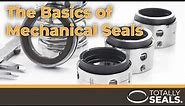 The Basics of Mechanical Seals