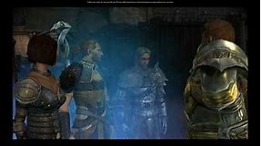 Reunion with Alistair - Human Noble - Dragon Age Origins Awakening
