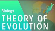 The Theory of Evolution by Natural Selection | Evolution | Biology | FuseSchool