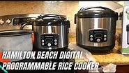 Hamilton Beach Digital Programmable Rice Cooker & Food Steamer Review & Test