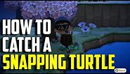 How to Catch a Snapping Turtle | Snapping Turtle ACNH | Animal Crossing New Horizons Snapping Turtle