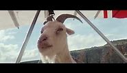 "Goat glider" by VCCP London for Virgin Media