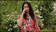 Why Do Allergies Make You Sneeze?