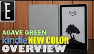 A New Amazon Kindle Paperwhite 5 Color Alternative | Agave Green