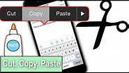 How To Cut, Copy And Paste On iPhone 6 & iPhone 6 Plus