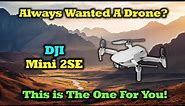DJI Mini 2SE - The Perfect Drone For New Fliers