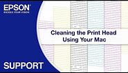 Epson EcoTank | Cleaning the Print Head via Mac