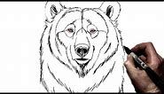 How To Draw a Bear | Step by Step