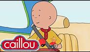 Caillou Theme Song! | Caillou | Universal Kids