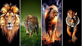 Mobile Wallpapers | Lions & Tiger Wallpapers | Wallpapers | Mobile Phone Wallpapers | Animal |Nature