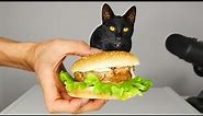 CAT EATING BURGER ASMR