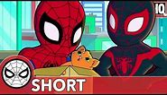 Spidey & Miles Aren't Kitten Around! | Marvel Super Hero Adventures - That Drone Cat | SHORT
