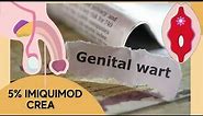 Genital warts without having sex ? -Genital wart removal treatment
