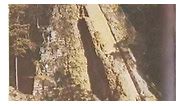 Tikal en 1959. Petén, Guatemala Artículo por William R. Coe En este sitio maya al norte de Guatemala, en la selva tropical, la cuarta temporada de campo bajo la dirección de Edwin M. Shook. Los objetivos del museo, en colaboración con el gobierno de Guatemala, está realizándose. Nuestras primeras dificultades con la disponibilidad del agua ha sido resuelta. Excavaciones, trabajo de laboratorio, reconstrucción y consolidación, análisis de material, y la publicaciones, están ocurriendo como habíam