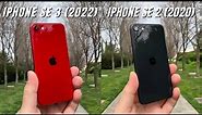 iPhone SE 2022 vs iPhone SE 2020 Camera Comparison | Is there really a difference?