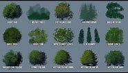 Foliage - Custom Tree Brushes for Photoshop & Adobe Fresco