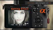 Live View Display: Setting Effect