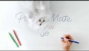 Paper Mate InkJoy Gel Pens - Cat