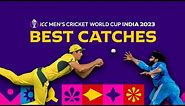 All the best catches from Cricket World Cup 2023 😱