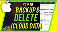 How To Backup & Delete All Apple iCloud Data