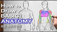 How to Draw a Basic Anatomy for beginners :) Tutorial