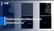 Architectural Distortion in Mammograms: Oriented patterns | Protocol Preview