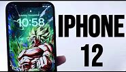 The IPhone 12 Is The Best Budget IPhone To Buy! (Now $319)