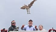 Birds of Prey day draws strong turnout, Richard Gere at Green Chimneys