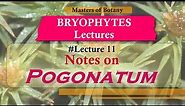 Lecture 11 | Polytrichum Life Cycle: Important (Bryophytes) | Bryophyta Lecture Notes