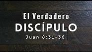 El Verdadero Discípulo | Juan 8:31-36