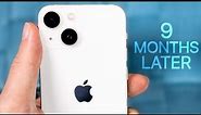 iPhone 13 mini Review (9 Months Later) - Why everyone is wrong..