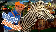 Blippi and Jungle Animals | Explore with BLIPPI!!! | Educational Videos for Toddlers