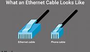 Ethernet Cables, How They Work and How to Choose the Right One