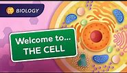 A Tour of the Cell: Crash Course Biology #23
