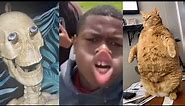 UNUSUAL Memes PART 54 😆 Best Funny Videos Compilation 2024 😂😁😆 TRY NOT TO LAUGH