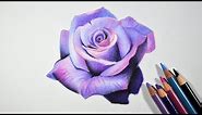 How to Draw A Lavender Rose -- Step by step tutorial -- Prismacolor pencils
