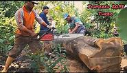 Jonsered 2095 Turbo Chainsaw - Special Teak Tree Cutting