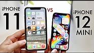 iPhone 12 Mini Vs iPhone 11! (Comparison) (Review)