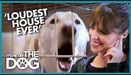 Non-stop Dog Barking is Making Owner DEAF | It's Me or the Dog