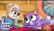 Keia Makes Hissy a New Toy | Music Video | Puppy Dog Pals | Disney Junior