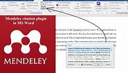 How to use Mendeley for Referencing in Microsoft Word: How to insert Citation and Bibliography
