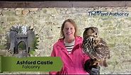 Falconry with Ireland's School of Falconry at Ashford Castle