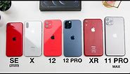 iPhone 12 Pro VS autres TAILLES !