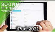 How to Set Custom Notification Sound on iPad 2021 – Adjust Sound Settings