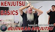 Kenjutsu Basics - Bujinkan Ninjutsu Kenjutsu with Moshe Kastiel