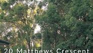 20 Matthews Crescent, Pimpama - Stunning home with pool, shed, solar! | Jason Atkinson - Ray White