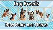 How Many Dog Breeds Are There In The World?