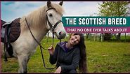 Riding the Eriskay Pony in Scotland!