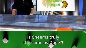 Cheems vs. Doge: The Untold Meme Rivalry